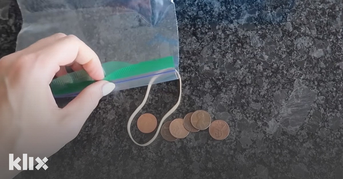 Genijalan trik: Riješite se muha uz pomoć vrećice, kovanica i vode